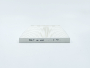 BIG FILTER GB9967