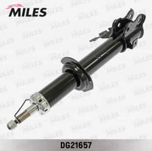 MILES DG21657