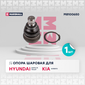 MARSHALL M8100650