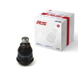 RS RECORD RS10053200