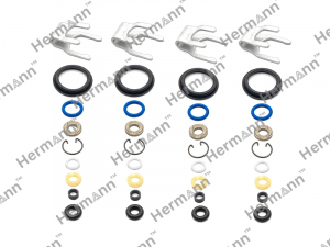 HERMANN HRA2560700187KIT