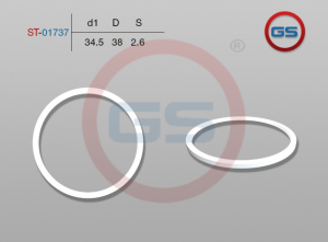 GS ST01737