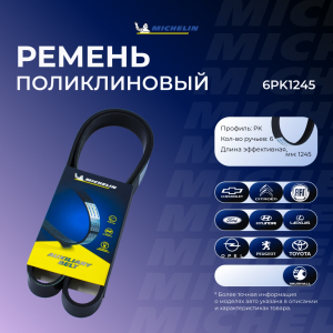 MICHELIN 6PK1245