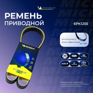 MICHELIN 6PK1255