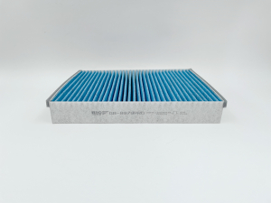 BIG FILTER GB9979PRO