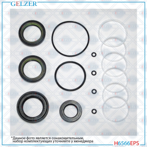 GELZER H6566EPS