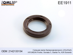 QML EE1911