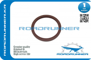 ROADRUNNER RR9031192006
