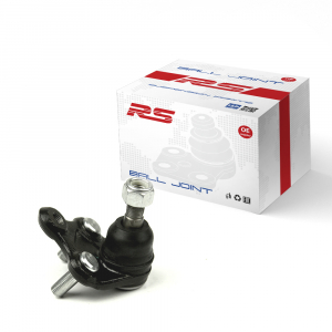 RS RECORD RS10052020