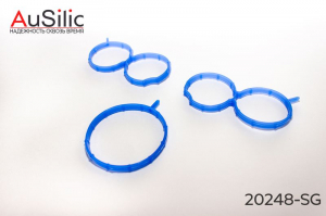 AUSILIC 20248SG