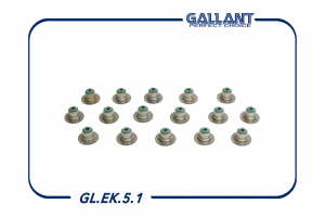 GALLANT GLEK51
