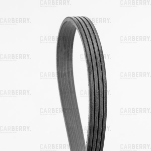 CARBERRY 4PK913