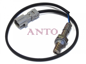 ANTO 100A5653
