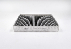 BIG FILTER GB98061C