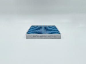 BIG FILTER GB98061PRO