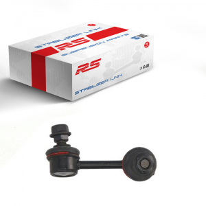 RS RECORD RS10048104