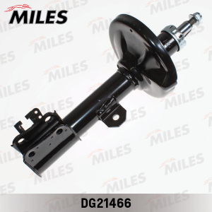 MILES DG21466