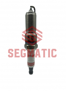 SEGMATIC SGSP9021