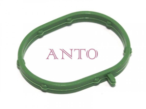 ANTO 100A6337