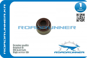 ROADRUNNER RR9091302018