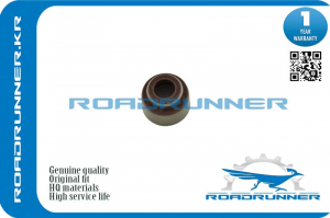 ROADRUNNER RR9091302094