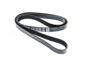 DAYCO 6PK1555