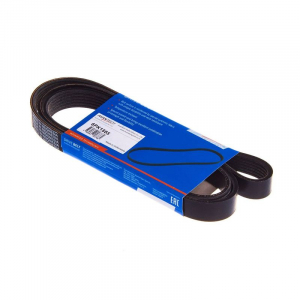 AVANTECH 6PK1555