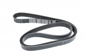 DAYCO 6PK1550S