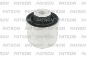 PATRON PSE12060