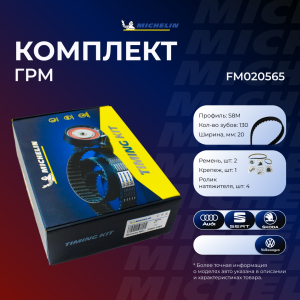 MICHELIN FM020565