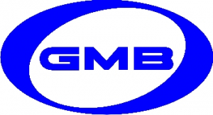 GMB GT90130
