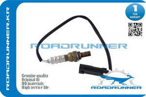 ROADRUNNER RR8200024503