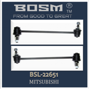 BOSM BSL22651