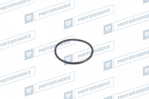 MOTORHERZ HR0577A