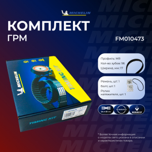 MICHELIN FM010473