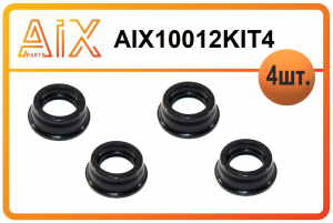 AIX AIX10012KIT4