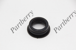 PARTBERRY PB131158