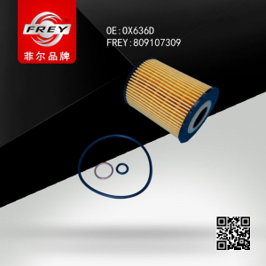 FREY 809107309