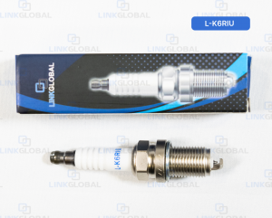 LINKGLOBAL LK6RIU
