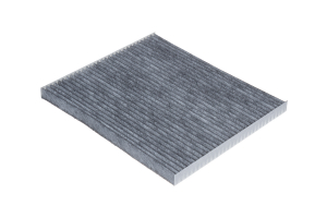 RAF FILTER RSTC008NI