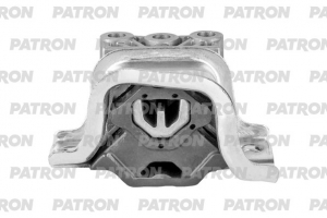 PATRON PSE30810