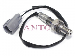 ANTO 100A6406