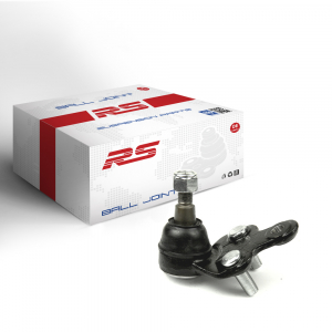 RS RECORD RS10059011