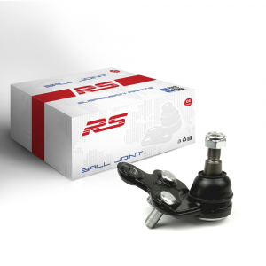 RS RECORD RS10059010