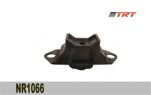 TRT NR1066