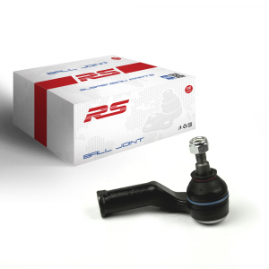 RS RECORD RS10090933