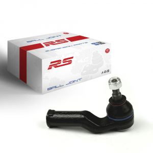 RS RECORD RS10090934