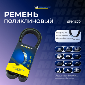 MICHELIN 6PK1670