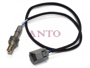 ANTO 100A5424