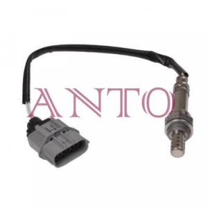 ANTO 100A5469